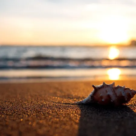 Riolavitas & 5* Side