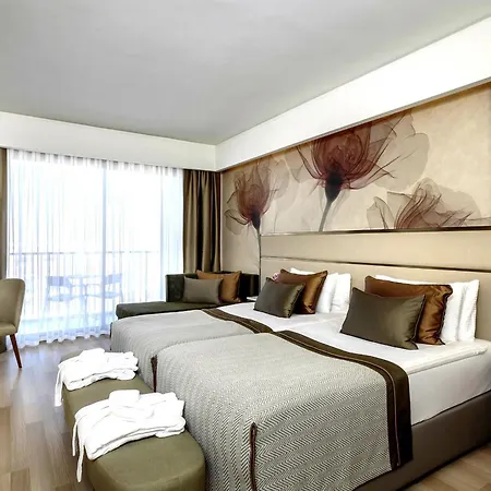 Riolavitas & 5* Side